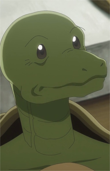 Turtle Merchant