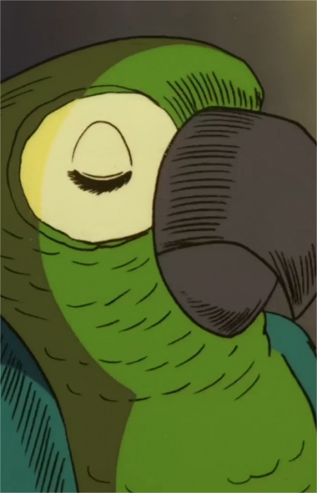 Navigators Parrot