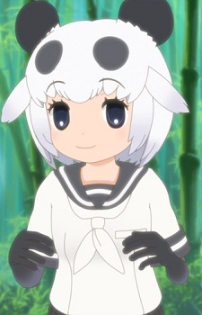Giant Panda