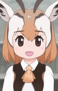 Thomsons Gazelle