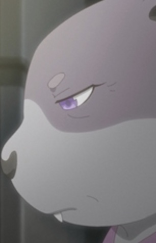 Sakuras Mother