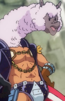 Alpaca Man