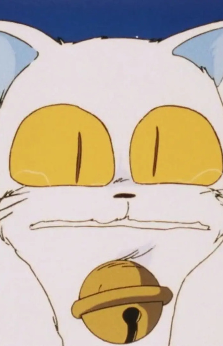 Maomolin