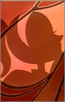 C Ko