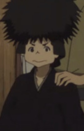 Puuta