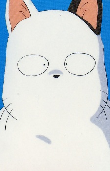Kotatsu Neko