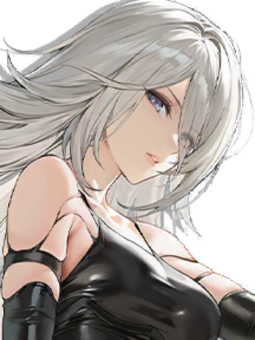 A2