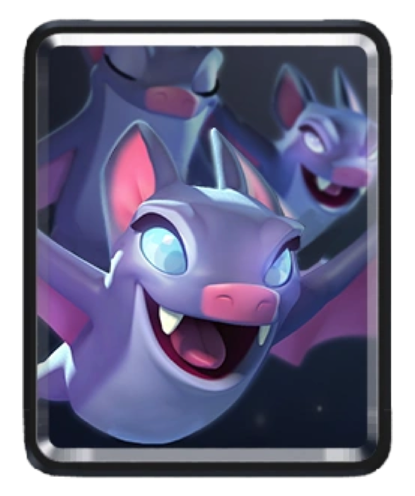 Bats