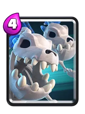 Skeleton