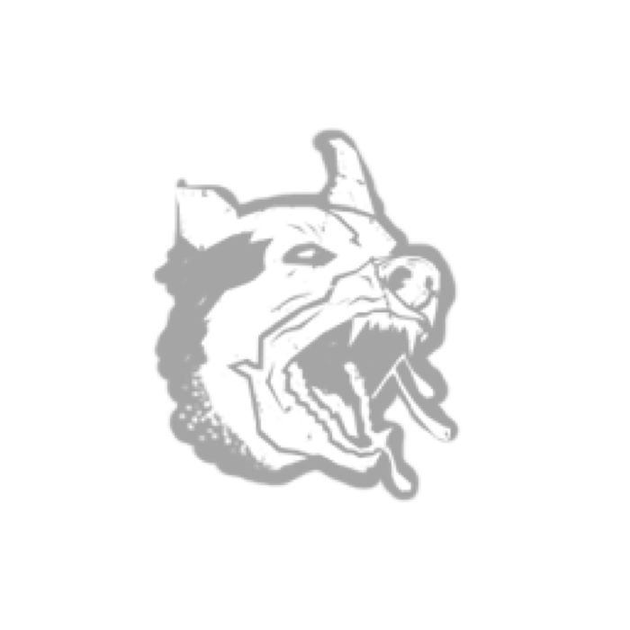 Bloodhound