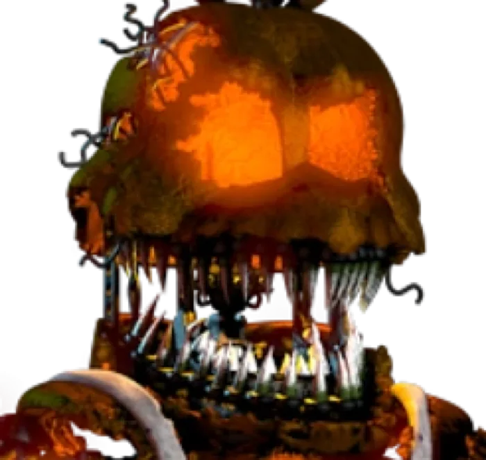 Jack O Chica