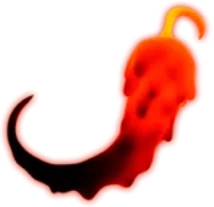 Magma