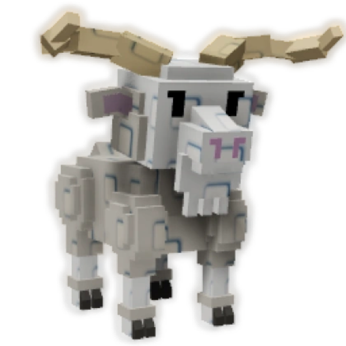 Angora Goat