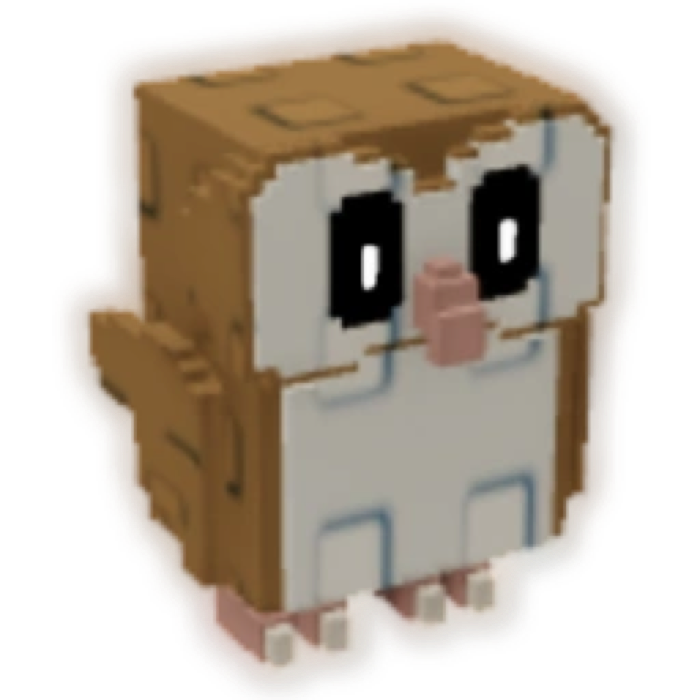 Barn Owl
