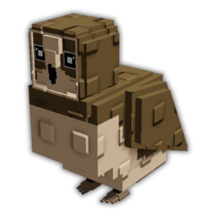 Brown Owl