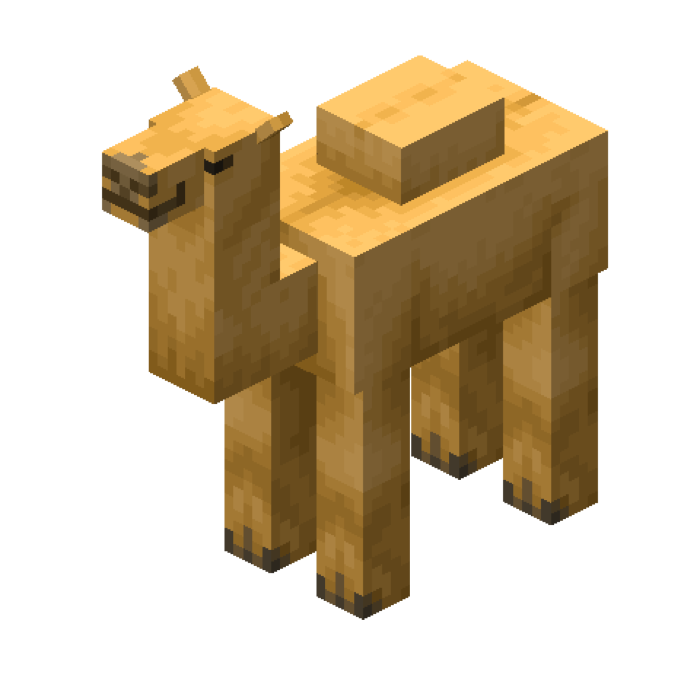 Camel