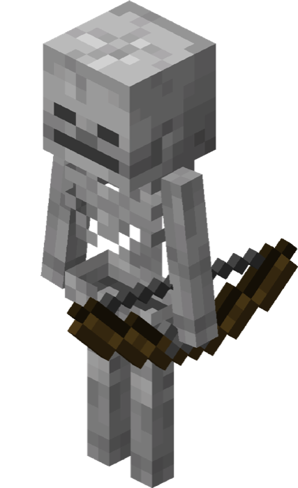 Skeleton