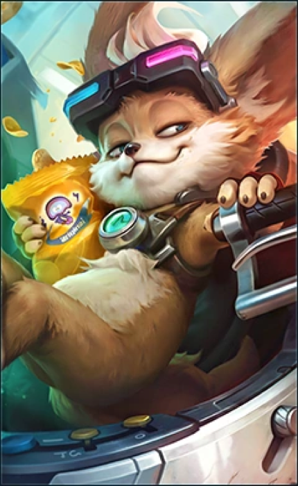 Chip
