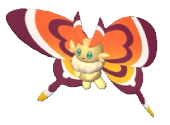 Cinnamoth