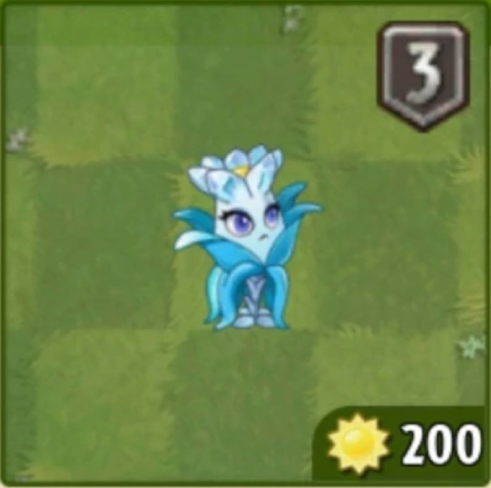 Crystal Orchid