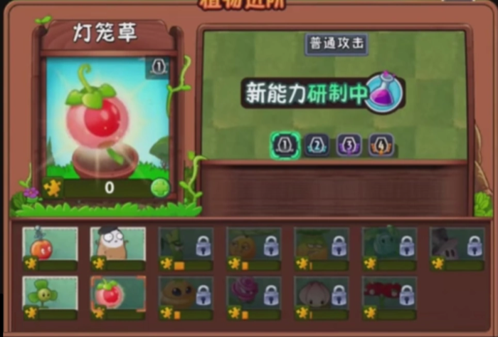 Groundcherry