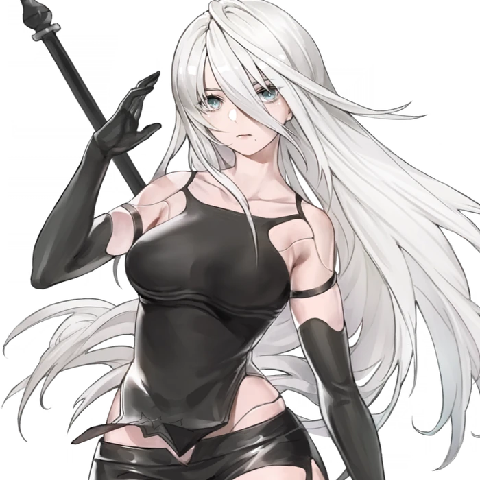A2