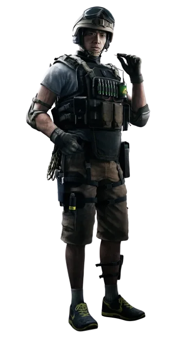 Lesion
