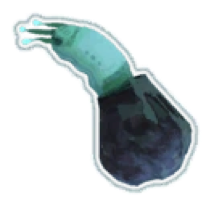 Cautious Slug