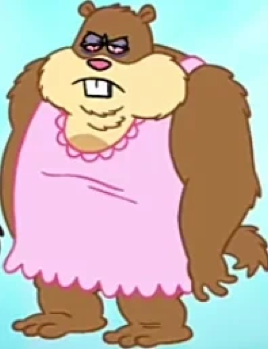Hibernation Sandy