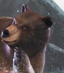 Kuma