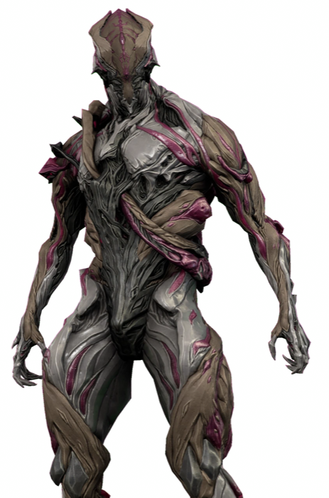 Nidus