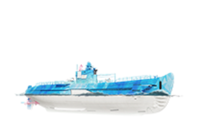 Ba Arona S Whale