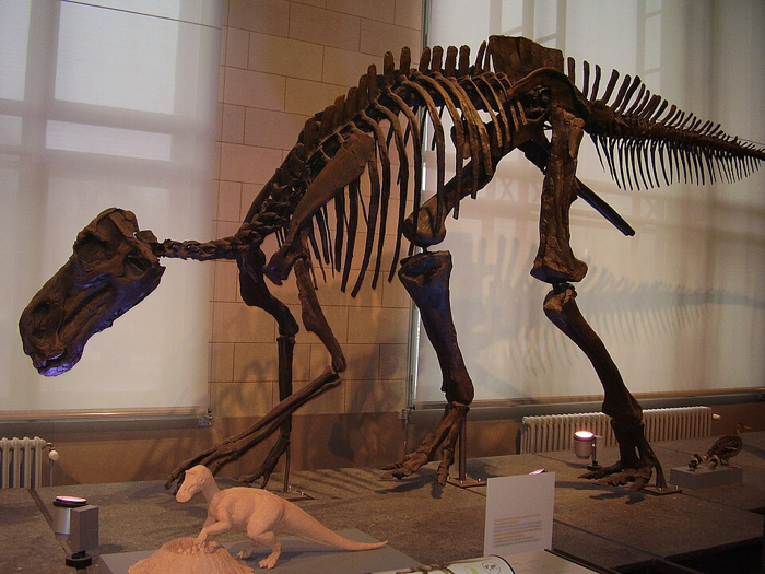 Maiasaura