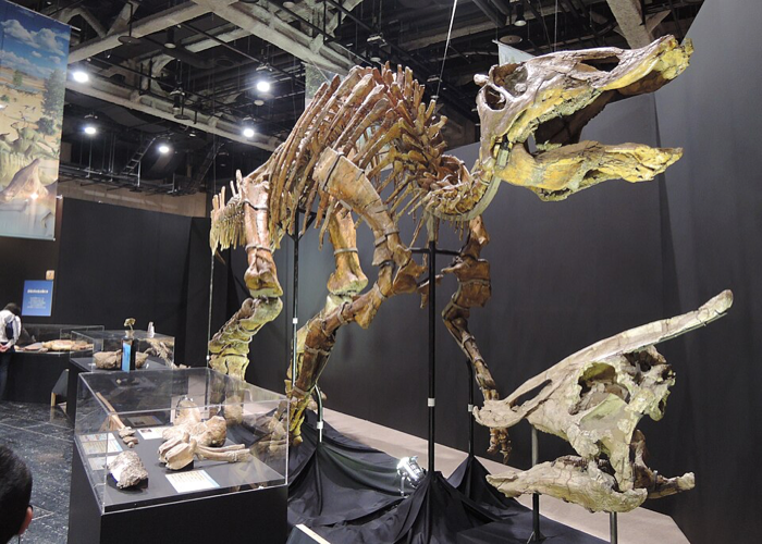 Saurolophus
