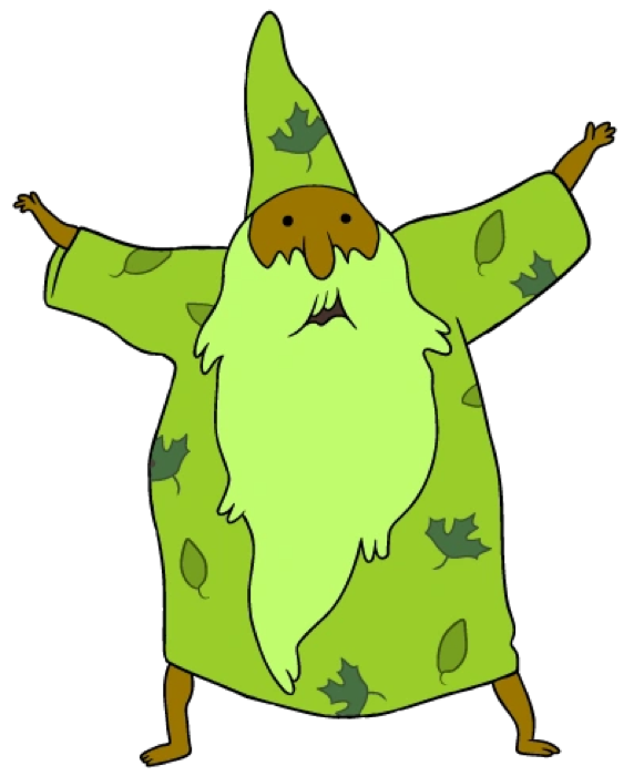Forest Wizard