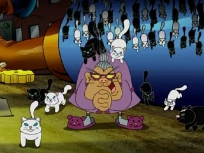 Crazy Old Cat Lady