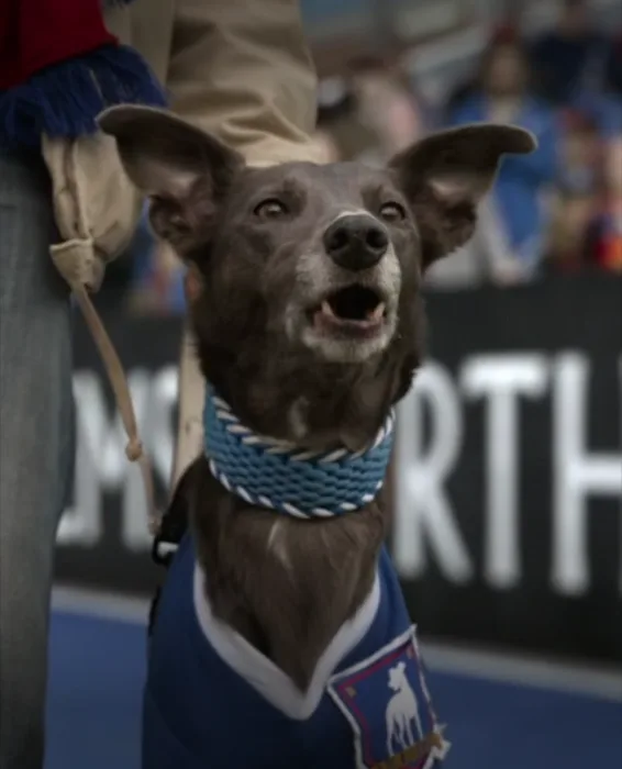 Earl Greyhound