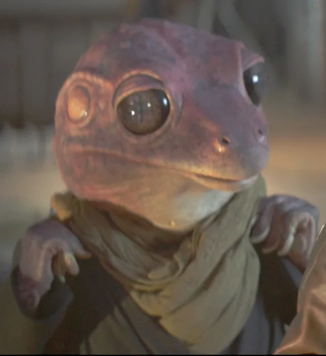 Frog Lady